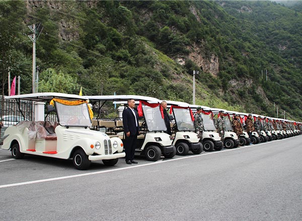 綠爵8座電動看房車 綠爵8座電動看房車